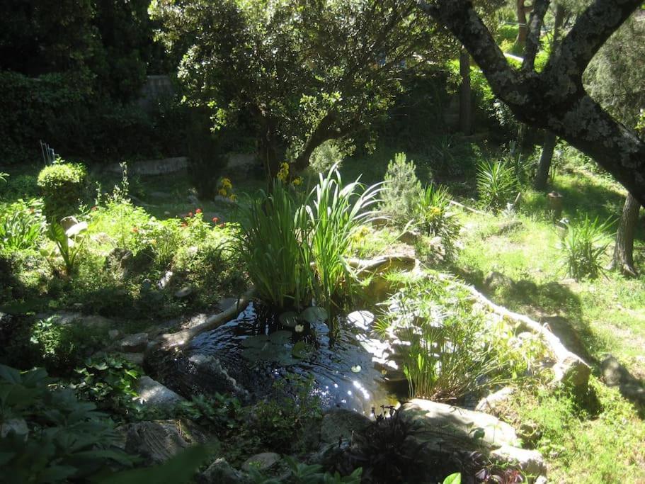 הוילה סוטיו דה לה אדרדה La Rocalla Del Tietar מראה חיצוני תמונה