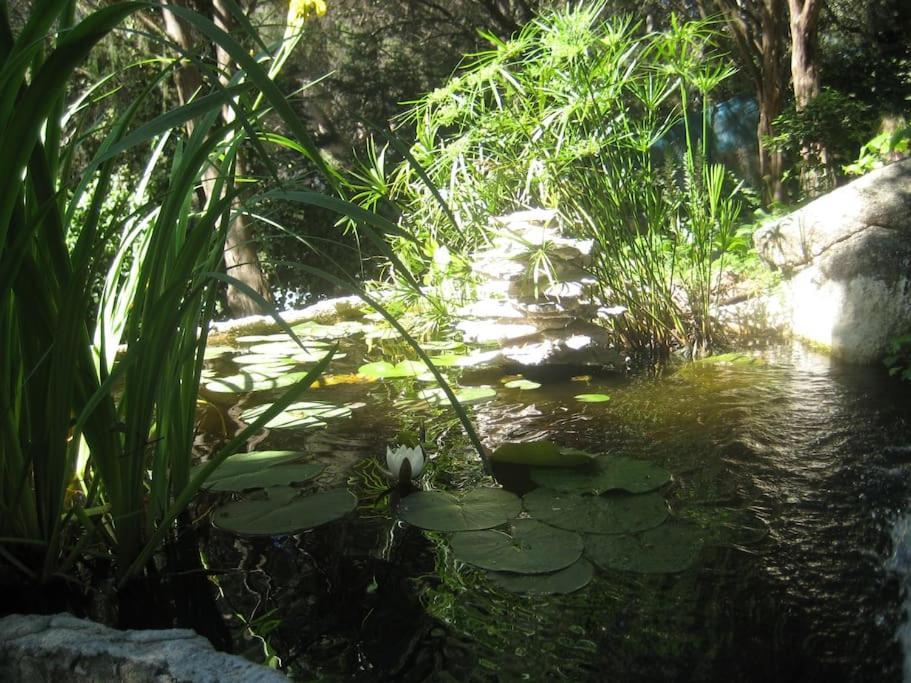 הוילה סוטיו דה לה אדרדה La Rocalla Del Tietar מראה חיצוני תמונה