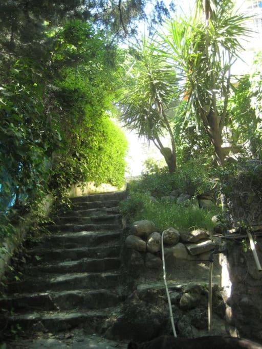 הוילה סוטיו דה לה אדרדה La Rocalla Del Tietar מראה חיצוני תמונה